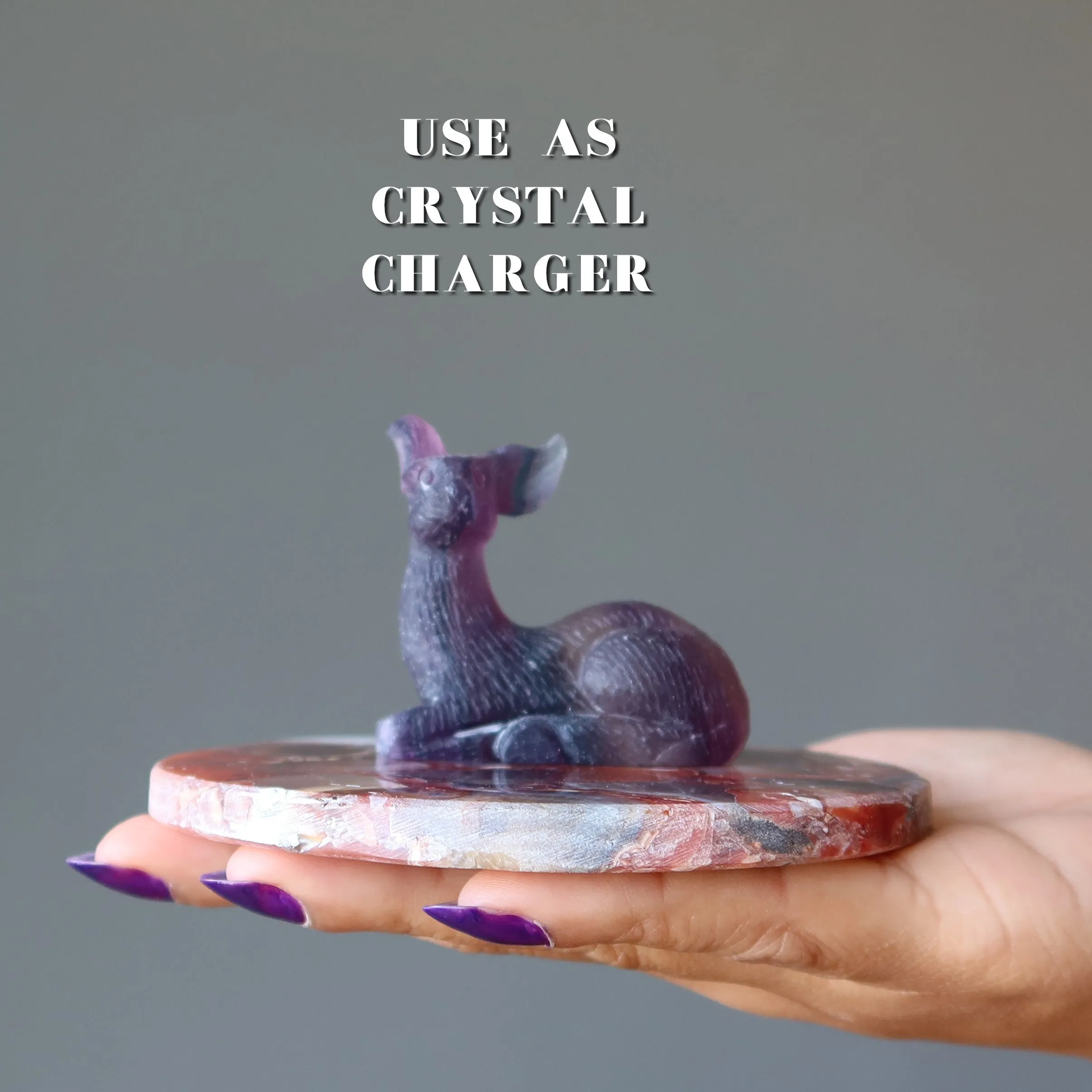 Carnelian Charger Circle Coaster