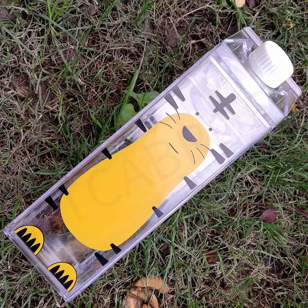Creative Transparent Water Bottle