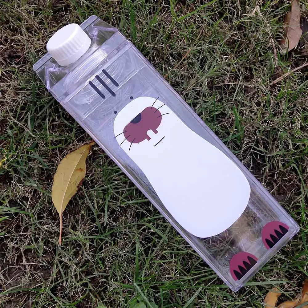 Creative Transparent Water Bottle